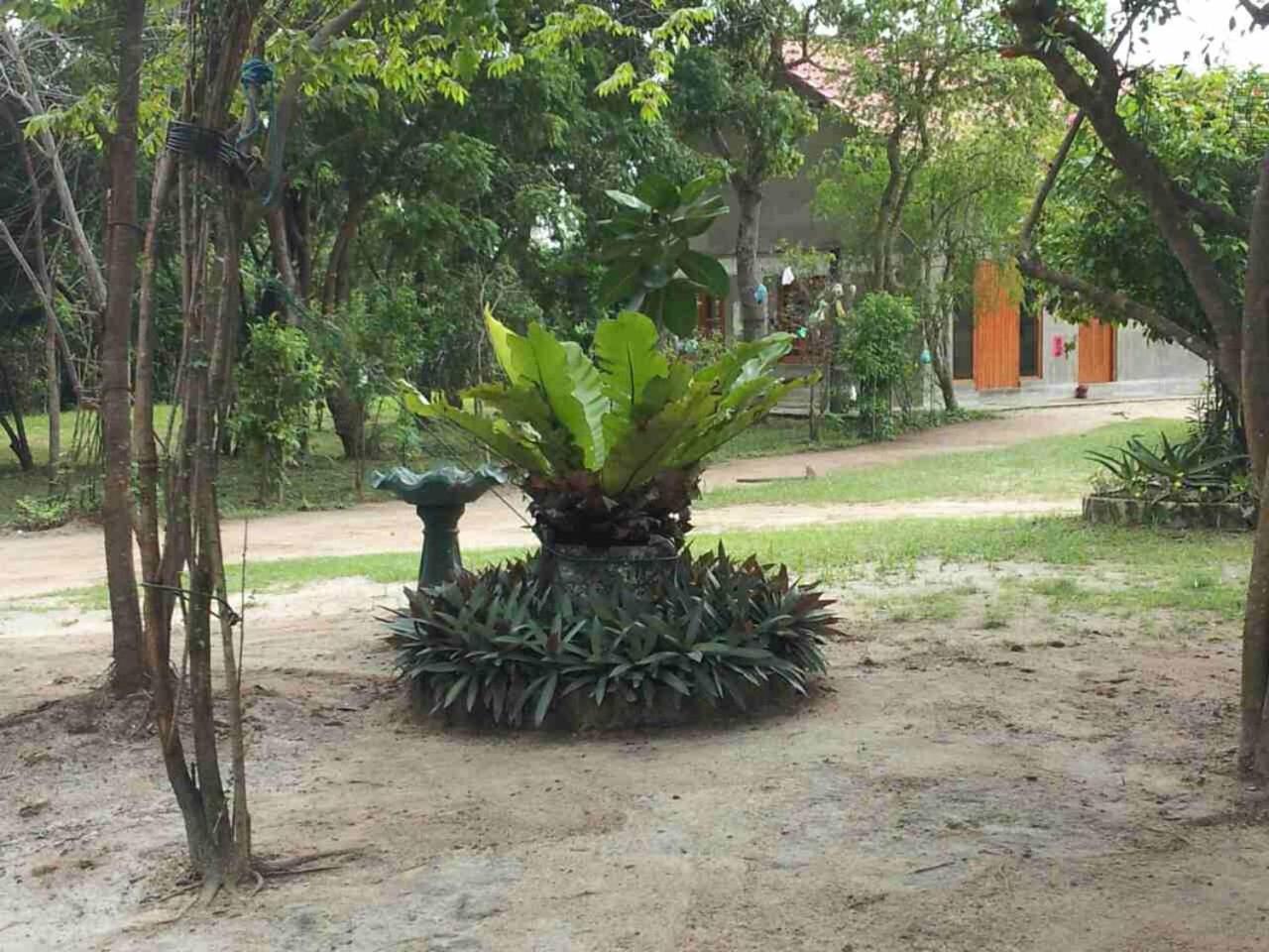 Captain'S Bird Safari Lodge Puttalam Exterior foto