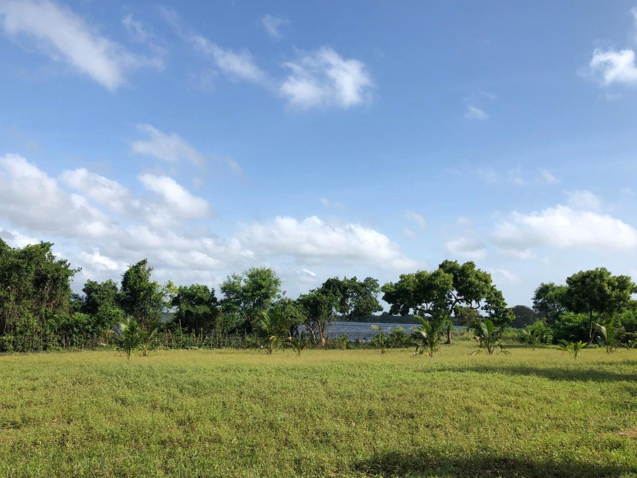 Captain'S Bird Safari Lodge Puttalam Exterior foto