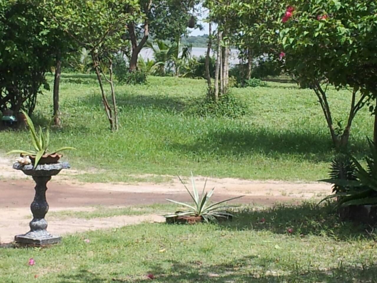 Captain'S Bird Safari Lodge Puttalam Exterior foto