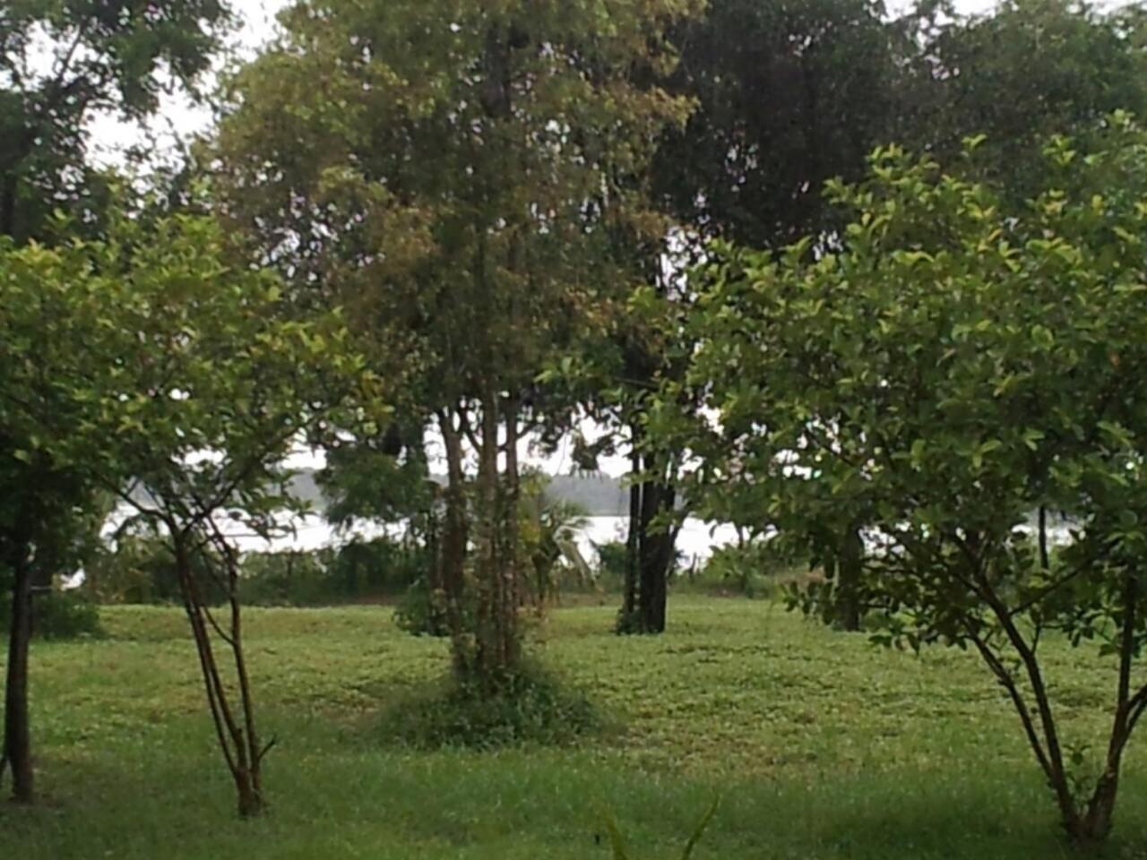 Captain'S Bird Safari Lodge Puttalam Exterior foto