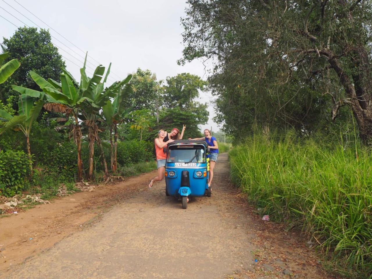 Captain'S Bird Safari Lodge Puttalam Exterior foto